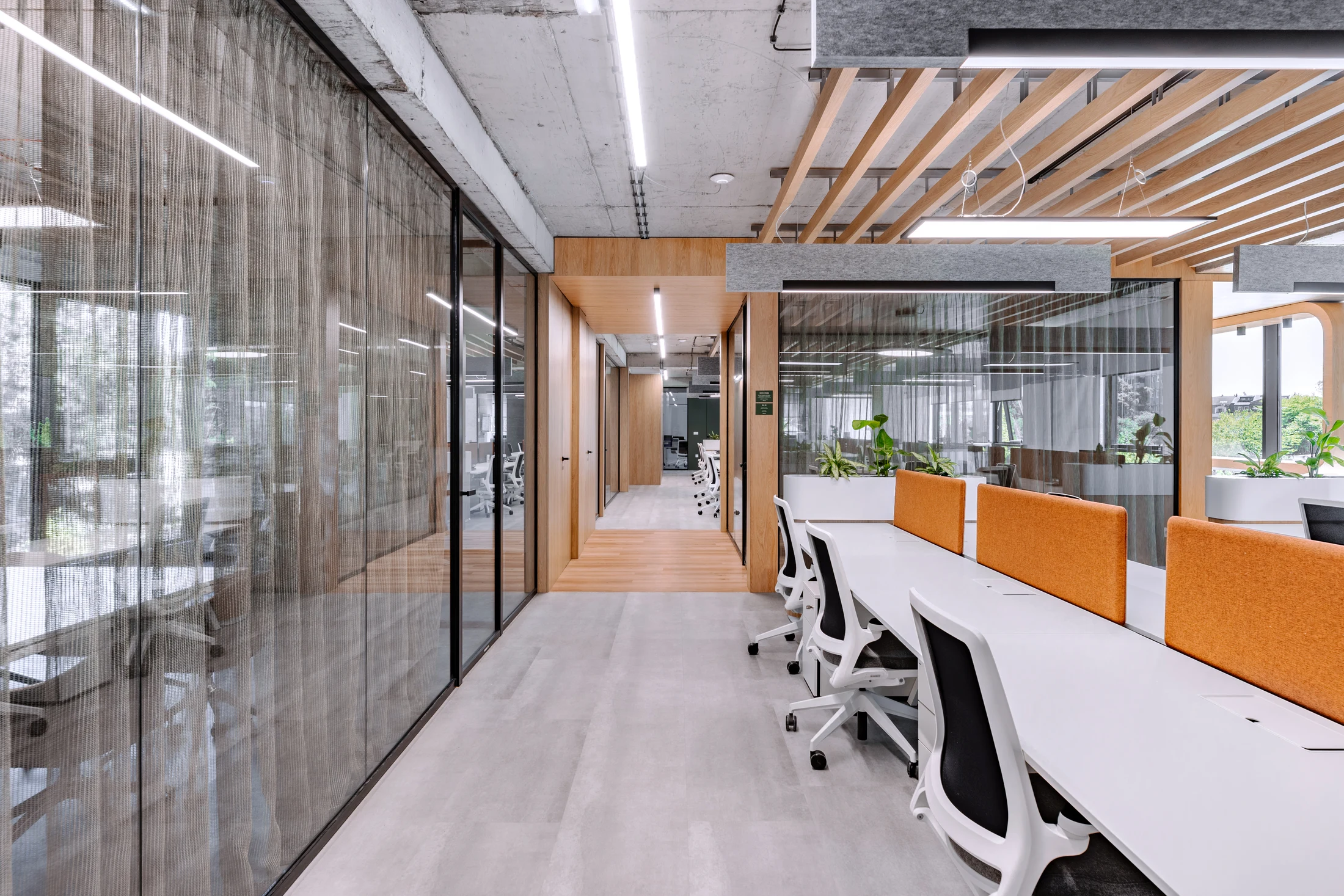 Salience — full-width view 5